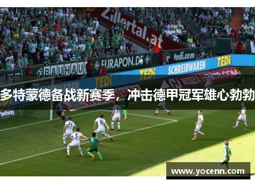 多特蒙德备战新赛季，冲击德甲冠军雄心勃勃