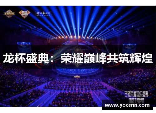 龙杯盛典：荣耀巅峰共筑辉煌