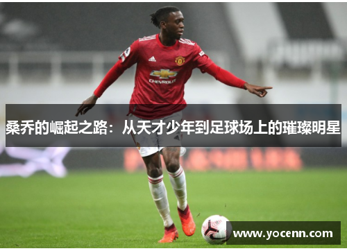 桑乔的崛起之路：从天才少年到足球场上的璀璨明星