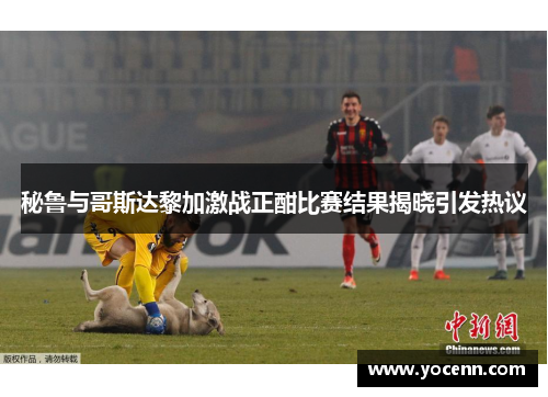 秘鲁与哥斯达黎加激战正酣比赛结果揭晓引发热议